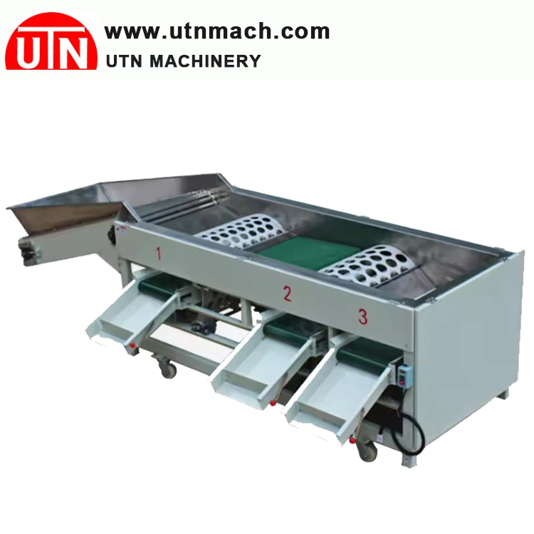 Classeur de citrons frais